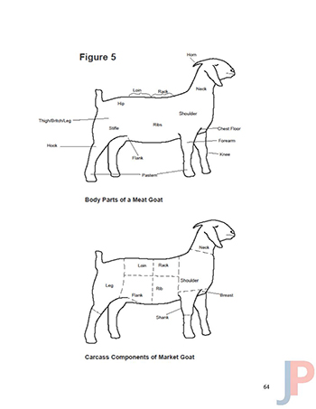 JudgingPro Livestock Judging Manual p64